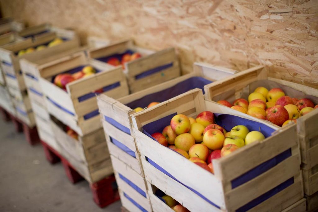 ... et plusieurs variétés de pommes